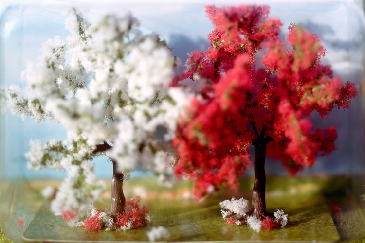 WREDE_WL_Bluehende Obstbaeume_A5 kl.jpg