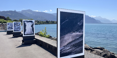 Gletscher unterm Deckel - Eine Geschichte der Bewahrung. Gruppenausstellung mit Thomas Wrede