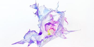 ALJOSCHA – Dommuseum Hildesheim