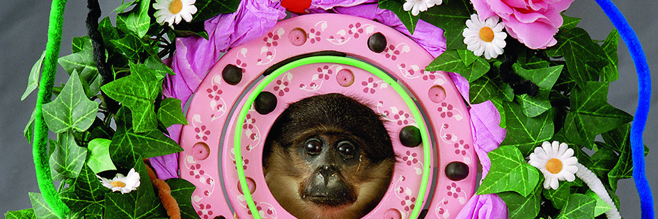 Hartmut Neumann. Die Betrachtung der Veränderung. Fotoarbeiten 1997–2017