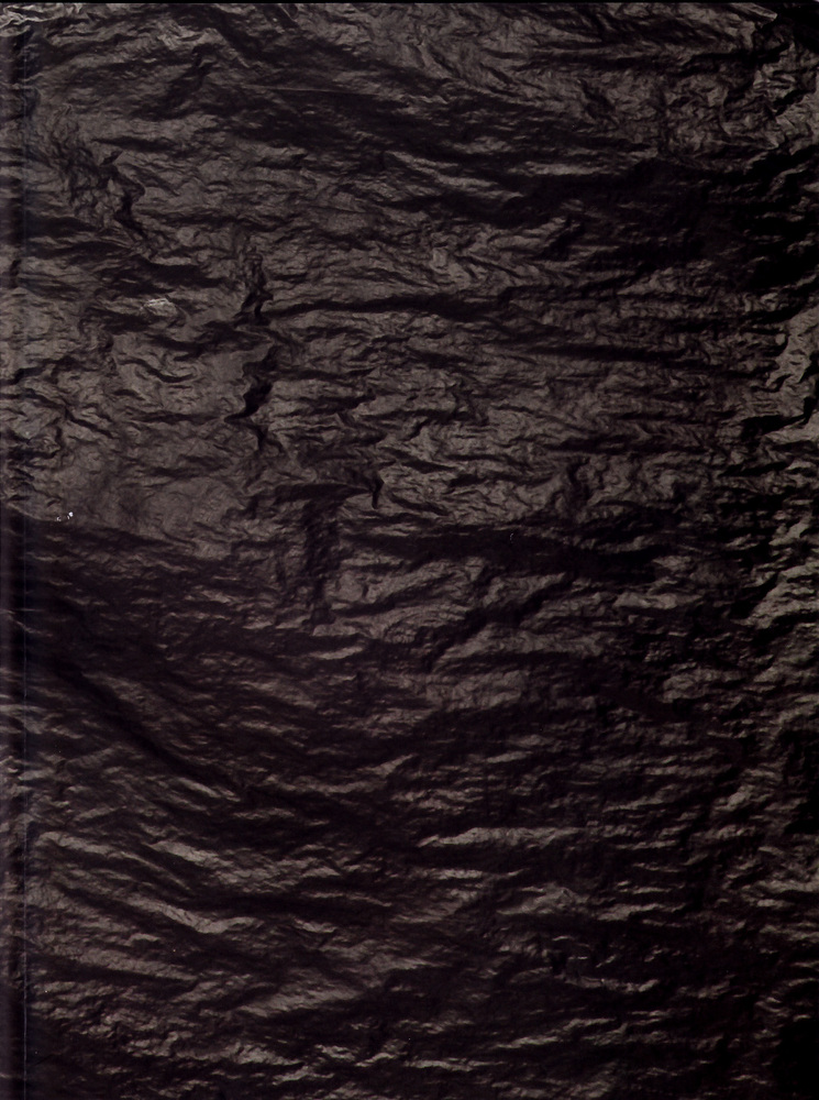 Adriana Molder. Winter Was Hard