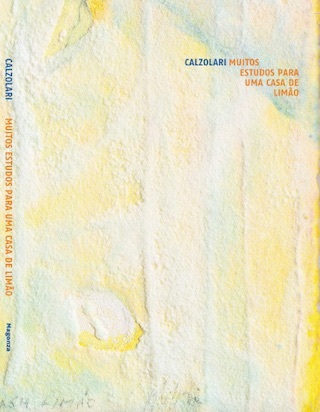Pier Paolo Calzolari. Muitos estudos para uma casa de limão