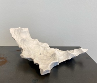 Aljoscha, Echoes from Billions Gone Cells, 2025