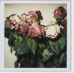 Nobuyoshi Araki, Flower, 2005, &copy; Nobuyoshi Araki