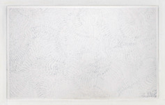 Dadamaino, Passo dopo passo, 1988