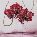 Kathrin Linkersdorff, Floriszenzen 4, 2019, &copy; Kathrin Linkersdorff, VG Bild-Kunst, Bonn 2024