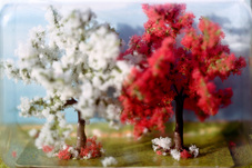 Thomas Wrede, Blühende Obstbäume (aus der Serie 'Wrapped Landscapes'), 2005, &copy; Thomas Wrede, VG-Bildkunst, Bonn