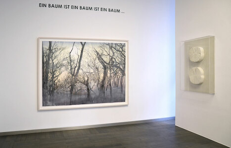 Baum, Beck & Eggeling IFA, Düsseldorf 2015 (c) Beck & Eggeling International Fine Art