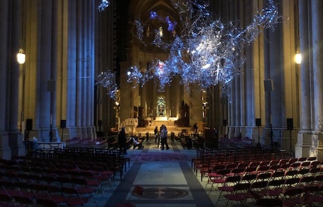 PHOTO20200227144911.jpg (c) 