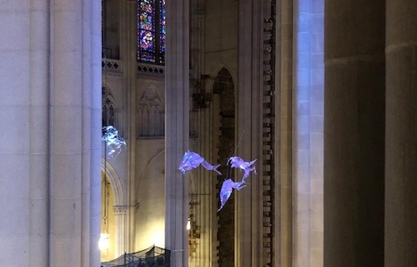 PHOTO20200227144923.jpg (c) 