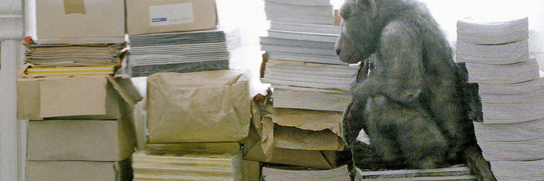 »AffenTheater« Forum Kunst Rottweil