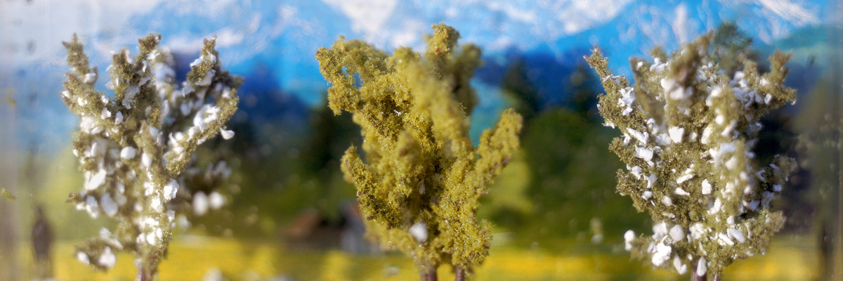 FOTO – KUNST – FOTO . Von Julia Cameron bis Thomas Ruff